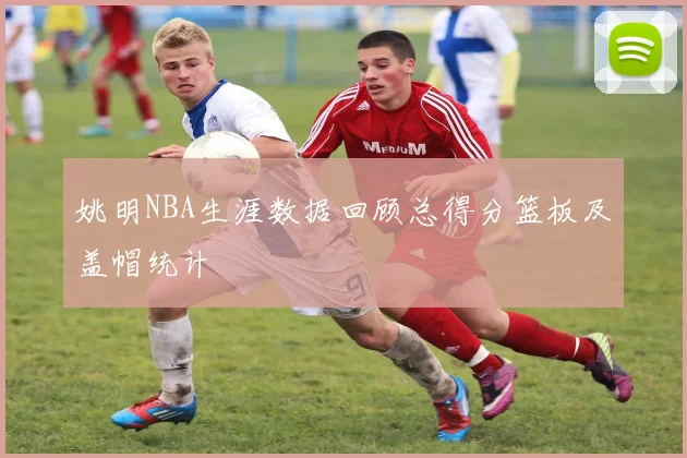 姚明NBA生涯数据回顾总得分篮板及盖帽统计