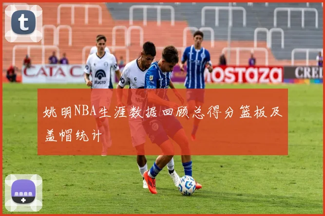 姚明NBA生涯数据回顾总得分篮板及盖帽统计
