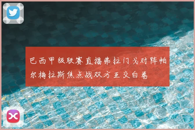 巴西甲级联赛直播弗拉门戈对阵帕尔梅拉斯焦点战双方互交白卷