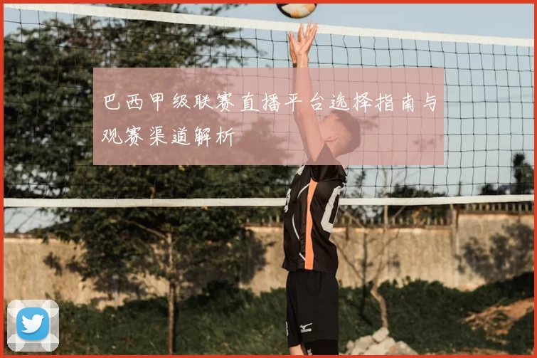 巴西甲级联赛直播平台选择指南与观赛渠道解析