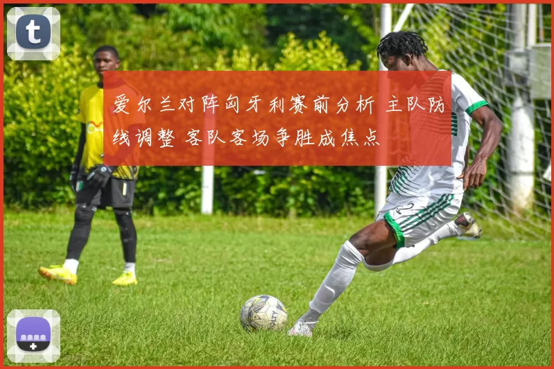 爱尔兰对阵匈牙利赛前分析 主队防线调整 客队客场争胜成焦点